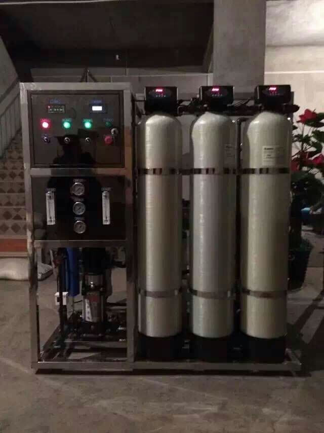 0.5T/H净化水设备